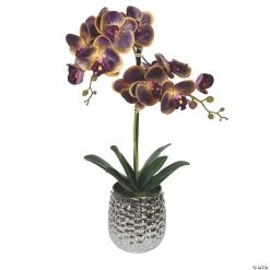 Vickerman 20.5" Potted Real Touch Purple Phalaenopsis Spray