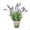 Vickerman 20" Lavender in Cement Pot