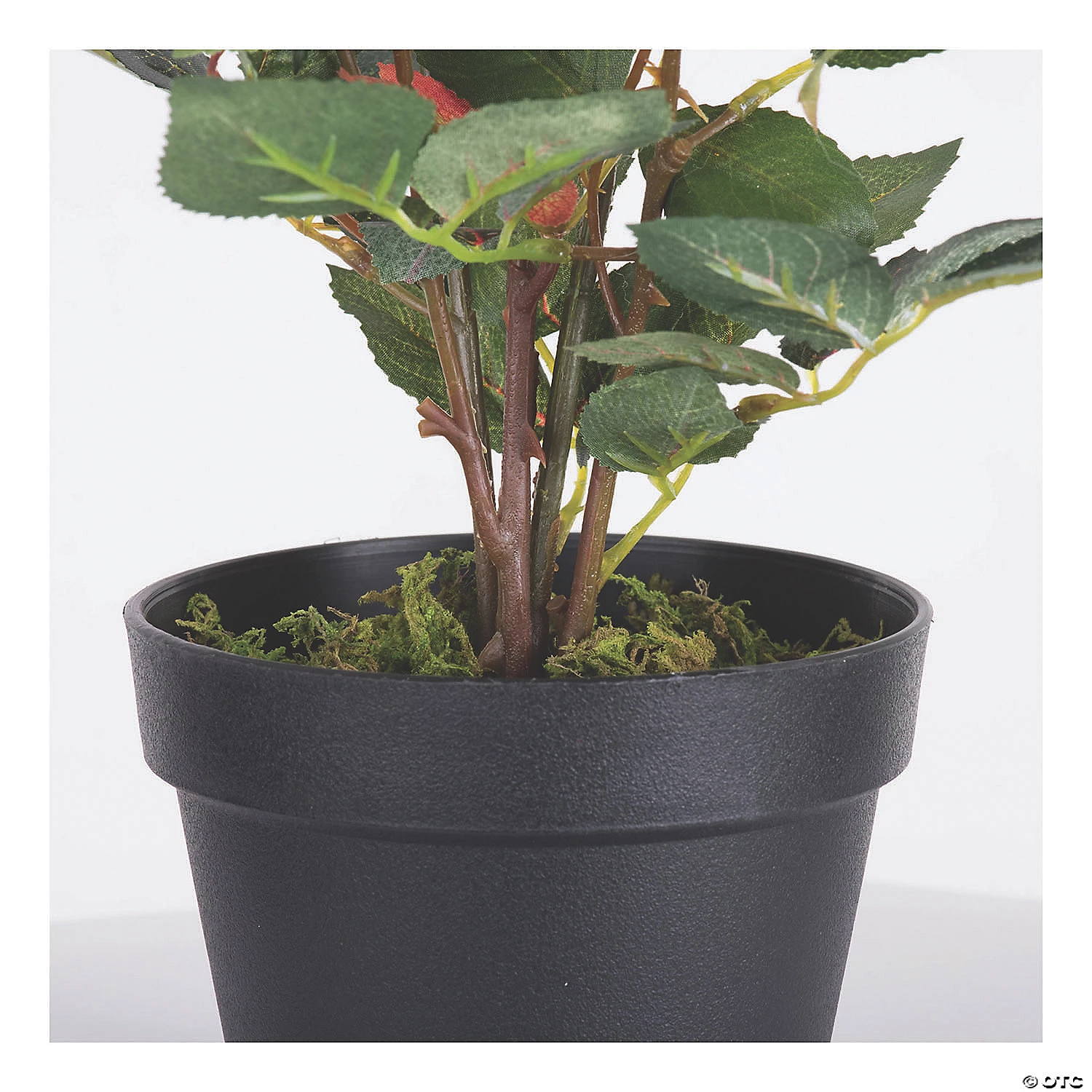 Vickerman 21" Artificial Red Rose Plant in Pot 5 Vickerman 21" Artificial Red Rose Plant in Pot - Image 3