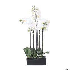 Vickerman 21" Artificial White Potted Orchid