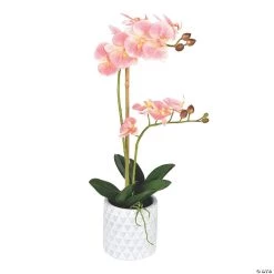 Vickerman 21" Potted Real Touch Pink Phalaenopsis Spray