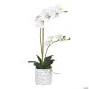 Vickerman 21" Potted Real Touch White Phalaenopsis Spray
