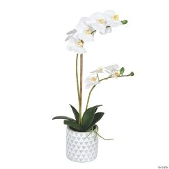 Vickerman 21" Potted Real Touch White Phalaenopsis Spray