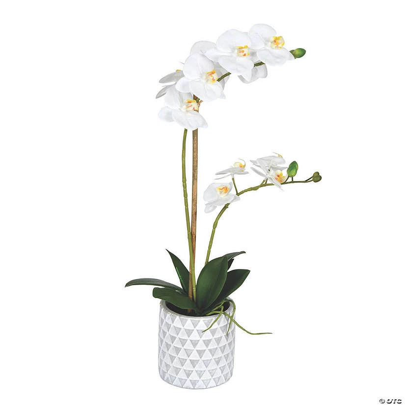 Vickerman 21" Potted Real Touch White Phalaenopsis Spray 3 Vickerman 21" Potted Real Touch White Phalaenopsis Spray