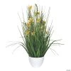 Vickerman 22.5" Potted Yellow Cosmos and Green Grass -Party Decorations Sales Shop vickerman 22 5 potted yellow cosmos and green grass13938523