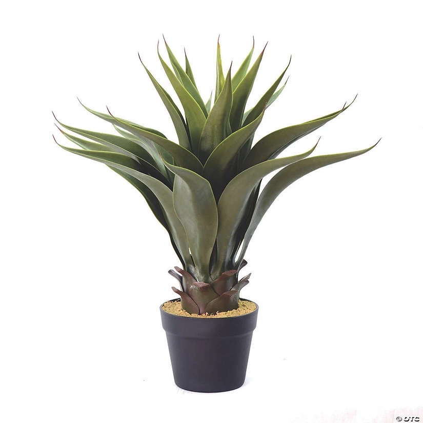 Vickerman 22" Artificial Green Potted Aloe Vera 3 Vickerman 22" Artificial Green Potted Aloe Vera
