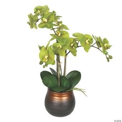 Vickerman 22" Potted Real Touch Green Phalaenopsis Spray