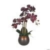 Vickerman 22" Potted Real Touch Purple Phalaenopsis Spray 2 Vickerman 22" Potted Real Touch Purple Phalaenopsis Spray -Party Decorations Sales Shop vickerman 22 potted real touch purple phalaenopsis spray13938517