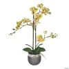 Vickerman 23.5" Potted Real Touch Green Phalaenopsis Spray