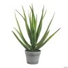 Vickerman 23" Artificial Green Aloe with 18 Leaves in Round Gray Pot 1 Vickerman 23" Artificial Green Aloe with 18 Leaves in Round Gray Pot -Party Decorations Sales Shop vickerman 23 artificial green aloe with 18 leaves in round gray pot13938524