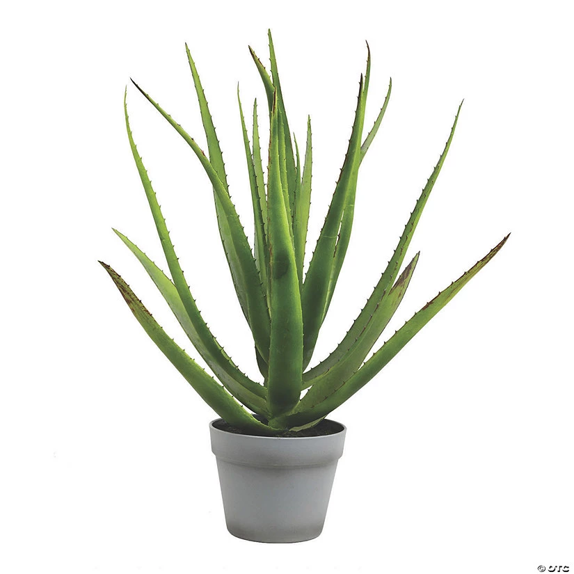 Vickerman 23" Artificial Green Aloe with 18 Leaves in Round Gray Pot 3 Vickerman 23" Artificial Green Aloe with 18 Leaves in Round Gray Pot