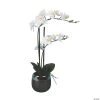 Vickerman 23" Artificial White Phalaenopsis In Metal Pot, Real Touch Petals 2 Vickerman 23" Artificial White Phalaenopsis In Metal Pot, Real Touch Petals -Party Decorations Sales Shop vickerman 23 artificial white phalaenopsis in metal pot real touch petals13938530