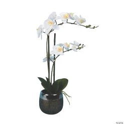 Vickerman 23" Artificial White Phalaenopsis In Metal Pot, Real Touch Petals
