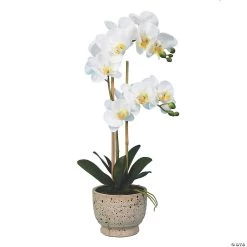 Vickerman 23" Artificial White Phalaenopsis In Pot, Real Touch Petals