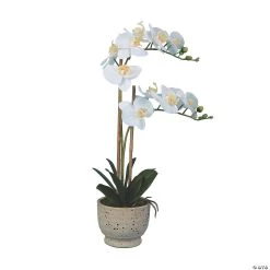 Vickerman 24.5" Artificial White Phalaenopsis In Cement Pot, Real Touch Petals
