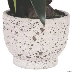 Vickerman 24" Artificial Pink Amaryllis Arranged In A Ceramic Pot -Party Decorations Sales Shop vickerman 24 artificial pink amaryllis arranged in a ceramic pot13938565 a02