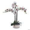 Vickerman 24" Artificial Pink Orchid in Ceramic Pot