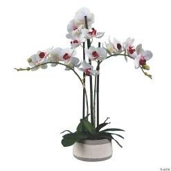 Vickerman 24" Artificial Pink Orchid in Ceramic Pot