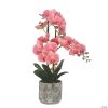 Vickerman 24" Artificial White Phalaenopsis In Cement Pot, Real Touch Petals