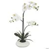 Vickerman 25" Artificial White Orchid