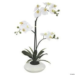 Vickerman 25" Artificial White Orchid