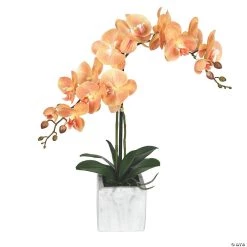 Vickerman 25" Potted Real Touch Coral Phalaenopsis Spray