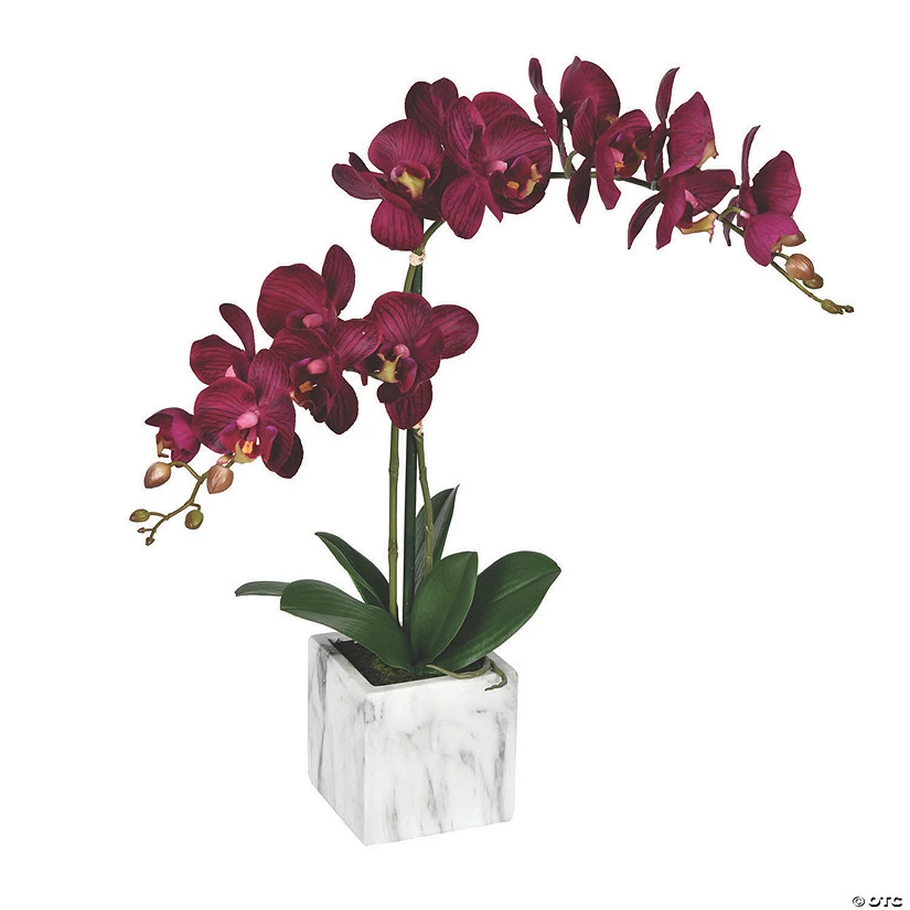 Vickerman 25" Potted Real Touch Dark Purple Phalaenopsis Spray 3 Vickerman 25" Potted Real Touch Dark Purple Phalaenopsis Spray