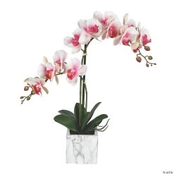 Vickerman 25" Potted Real Touch Pink and White Phalaenopsis Spray