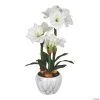 Vickerman 25" White Amaryllis Potted Floral Arrangement -Party Decorations Sales Shop vickerman 25 white amaryllis potted floral arrangement13938591