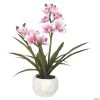 Vickerman 26" Artificial Pink Orchid Arranged In A White Ceramic Pot 1 Vickerman 26" Artificial Pink Orchid Arranged In A White Ceramic Pot -Party Decorations Sales Shop vickerman 26 artificial pink orchid arranged in a white ceramic pot13938606