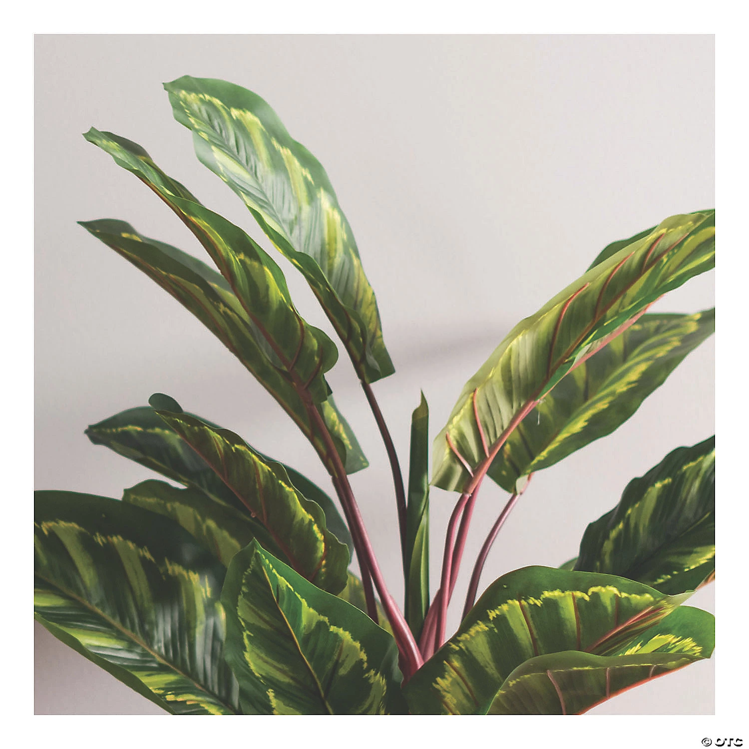 Vickerman 3' Artificial Green and Brown Peacock Plant in Pot 4 Vickerman 3' Artificial Green and Brown Peacock Plant in Pot - Image 2