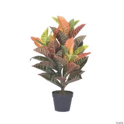Vickerman 30" Artificial Croton