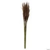 Vickerman 36" Brown Plume Reed 2 Pack Bundle -Party Decorations Sales Shop vickerman 36 brown plume reed 2 pack bundle13968688