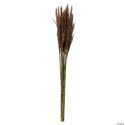 Vickerman 36" Brown Plume Reed 2 Pack Bundle