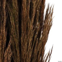 Vickerman 36" Brown Plume Reed 2 Pack Bundle 8 Vickerman 36" Brown Plume Reed 2 Pack Bundle -Party Decorations Sales Shop vickerman 36 brown plume reed 2 pack bundle13968688 a02