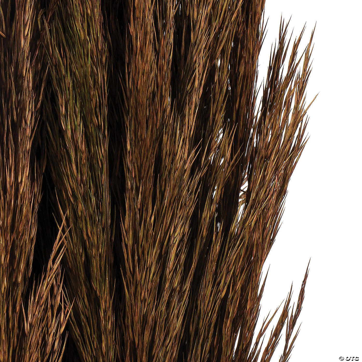 Vickerman 36" Brown Plume Reed 2 Pack Bundle 5 Vickerman 36" Brown Plume Reed 2 Pack Bundle - Image 3