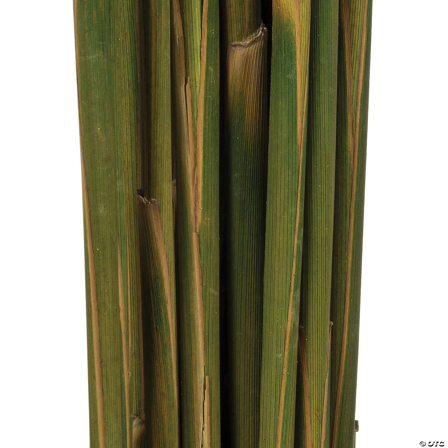 Vickerman 36" Brown Plume Reed 2 Pack Bundle 6 Vickerman 36" Brown Plume Reed 2 Pack Bundle - Image 4