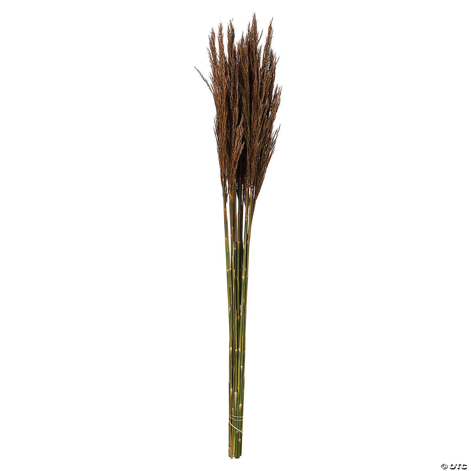 Vickerman 36" Brown Plume Reed 2 Pack Bundle 3 Vickerman 36" Brown Plume Reed 2 Pack Bundle