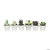 Vickerman 4" Assorted Potted Succulents - 6/pk -Party Decorations Sales Shop vickerman 4 assorted potted succulents 6 pk13938719