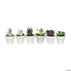 Vickerman 4" Assorted Potted Succulents - 6/pk