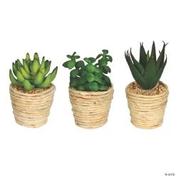 Vickerman 5" and 6" Assorted Potted Succulents - 3/pk