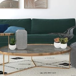 Vickerman 5" Assorted Potted Succulents - 3/pk -Party Decorations Sales Shop vickerman 5 assorted potted succulents 3 pk13938747 a05