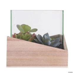 Vickerman 6" Artificial Green Assorted Succulents in Wood Container and Glass Top 7 Vickerman 6" Artificial Green Assorted Succulents in Wood Container and Glass Top -Party Decorations Sales Shop vickerman 6 artificial green assorted succulents in wood container and glass top13938789 a02