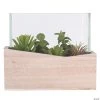 Vickerman 6" Artificial Green Assorted Succulents in Wood Container and Glass Top -Party Decorations Sales Shop vickerman 6 artificial green assorted succulents in wood container and glass top13938807