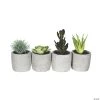 Vickerman 6" Assorted Potted Succulents - 4/pk