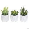 Vickerman 6" Potted Succulent Arrangements - Assorted, 3/pk -Party Decorations Sales Shop vickerman 6 potted succulent arrangements assorted 3 pk13938775