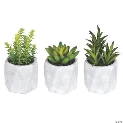 Vickerman 6" Potted Succulent Arrangements - Assorted, 3/pk