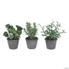Vickerman 7" Green Potted Plant Assortment - Set of 3 -Party Decorations Sales Shop vickerman 7 green potted plant assortment set of 313938791