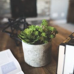 Vickerman 8" Artificial Succulent Arrangement -Party Decorations Sales Shop vickerman 8 artificial succulent arrangement13938815 a02