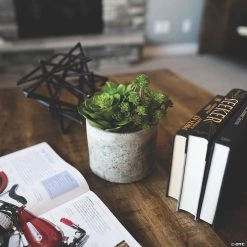 Vickerman 8" Artificial Succulent Arrangement -Party Decorations Sales Shop vickerman 8 artificial succulent arrangement13938815 a03